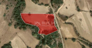 Land For Sale In Polis Chrysochou Paphos Cyprus