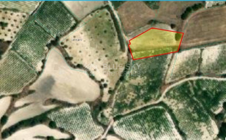 Land For Sale In Letymvou Paphos Cyprus