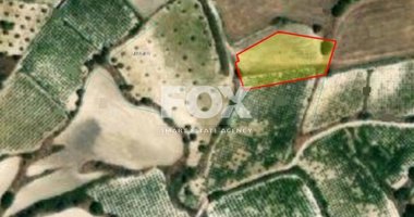 Land For Sale In Letymvou Paphos Cyprus