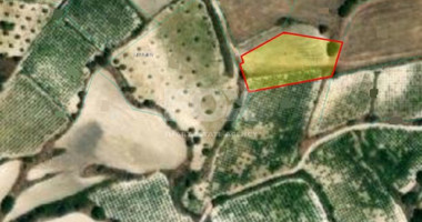 Land For Sale In Letymvou Paphos Cyprus