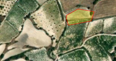 Land For Sale In Letymvou Paphos Cyprus