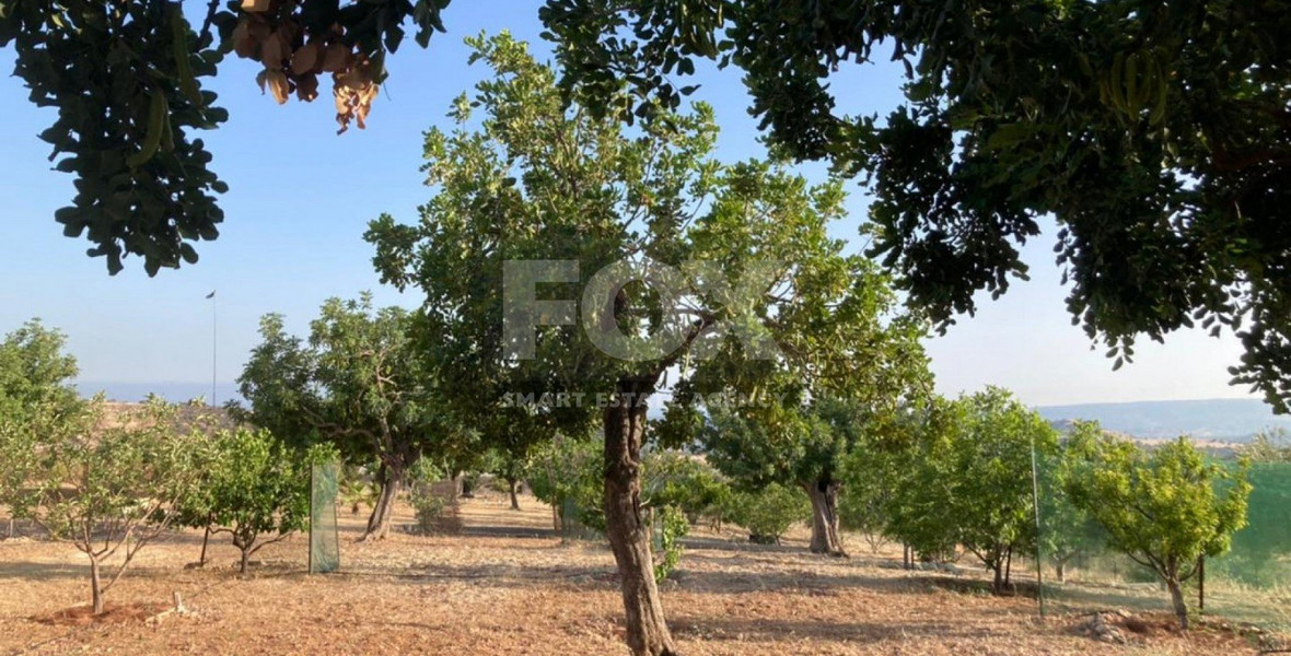 Land For Sale In Prastio Avdimou Limassol Cyprus