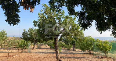 Land For Sale In Prastio Avdimou Limassol Cyprus