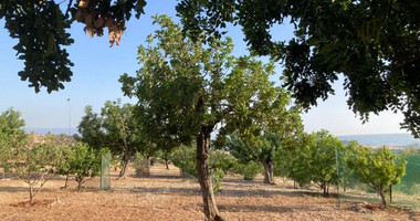 Land For Sale In Prastio Avdimou Limassol Cyprus