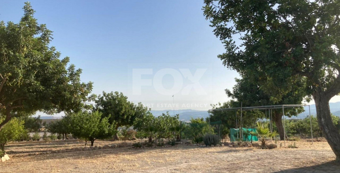 Land For Sale In Prastio Avdimou Limassol Cyprus