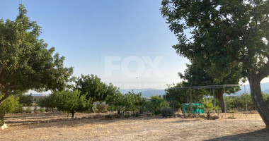 Land For Sale In Prastio Avdimou Limassol Cyprus