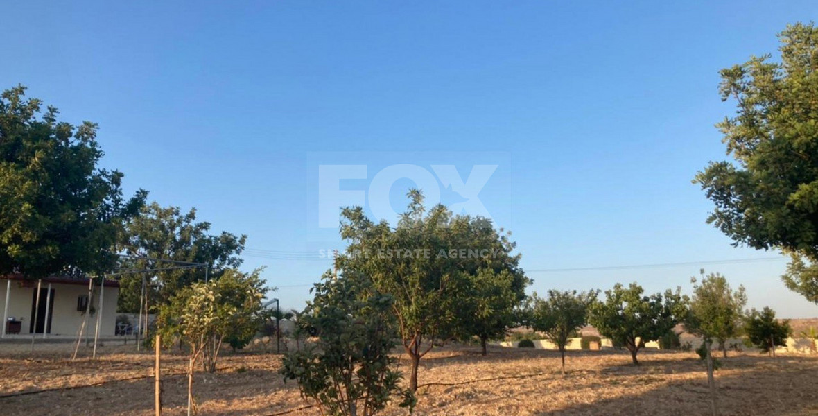 Land For Sale In Prastio Avdimou Limassol Cyprus