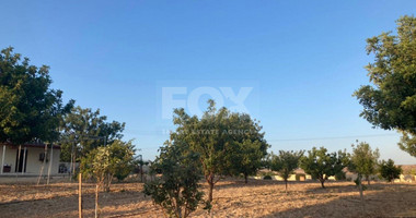 Land For Sale In Prastio Avdimou Limassol Cyprus