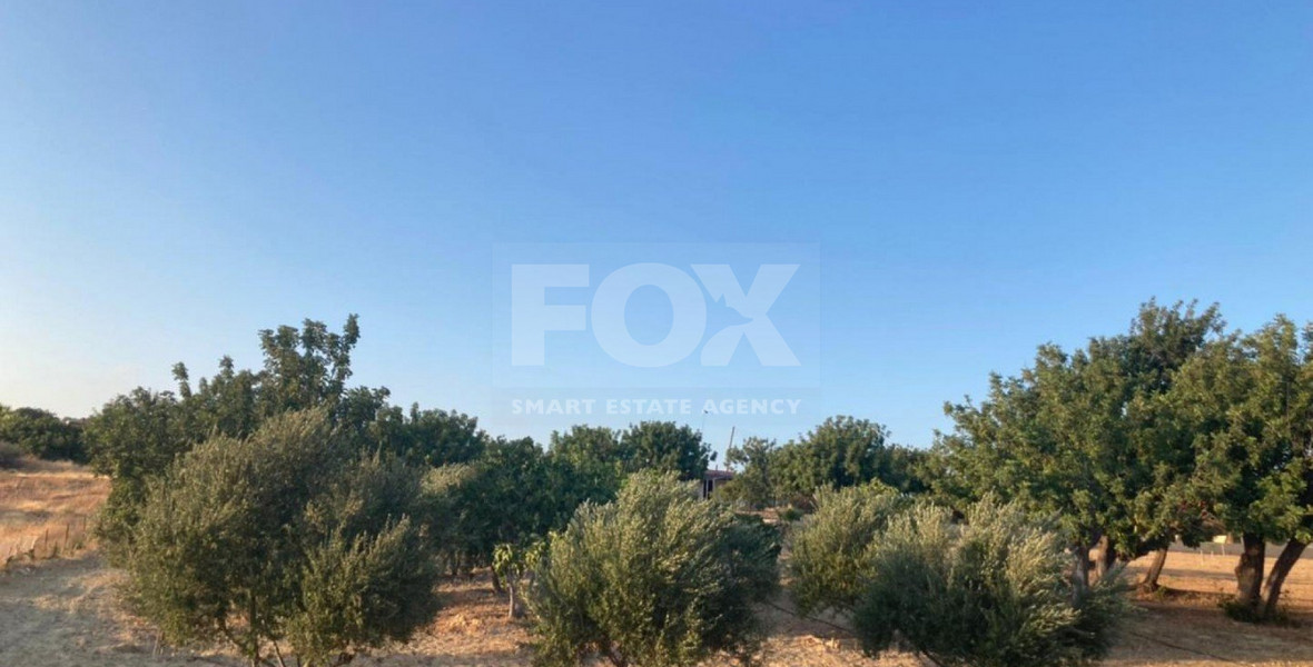 Land For Sale In Prastio Avdimou Limassol Cyprus