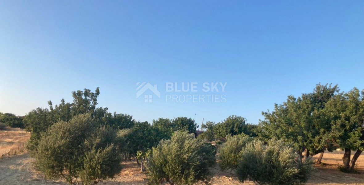 Land For Sale In Prastio Avdimou Limassol Cyprus