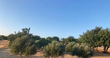 Land For Sale In Prastio Avdimou Limassol Cyprus