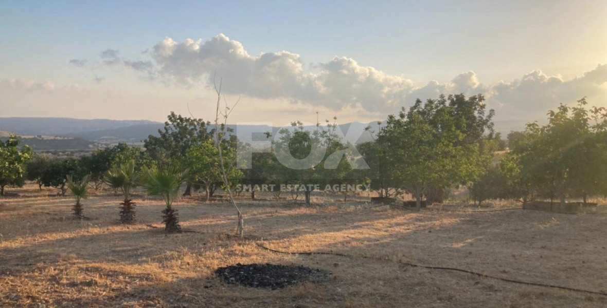 Land For Sale In Prastio Avdimou Limassol Cyprus