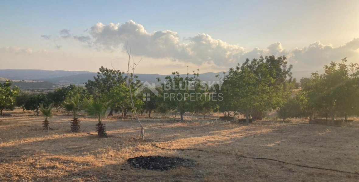 Land For Sale In Prastio Avdimou Limassol Cyprus