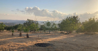 Land For Sale In Prastio Avdimou Limassol Cyprus