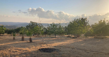 Land For Sale In Prastio Avdimou Limassol Cyprus