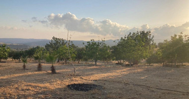 Land For Sale In Prastio Avdimou Limassol Cyprus