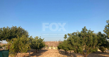 Land For Sale In Prastio Avdimou Limassol Cyprus