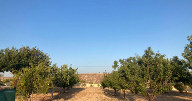 Land For Sale In Prastio Avdimou Limassol Cyprus