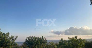 Land For Sale In Prastio Avdimou Limassol Cyprus