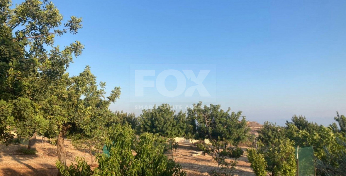 Land For Sale In Prastio Avdimou Limassol Cyprus