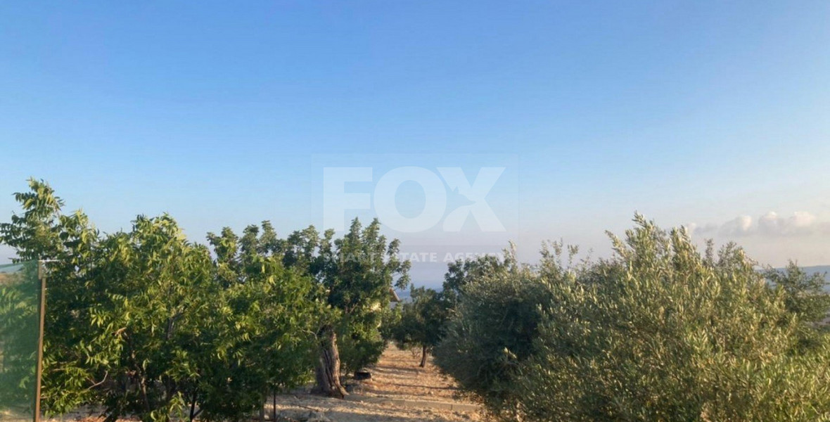 Land For Sale In Prastio Avdimou Limassol Cyprus