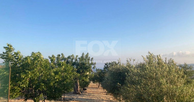 Land For Sale In Prastio Avdimou Limassol Cyprus