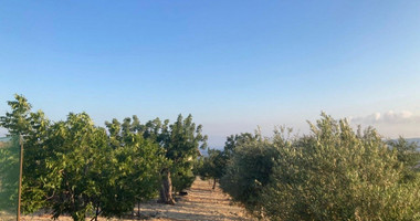 Land For Sale In Prastio Avdimou Limassol Cyprus