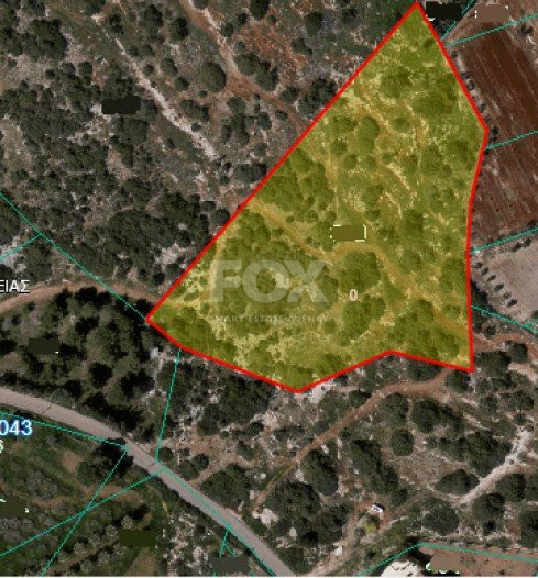 Land For Sale In Sea Caves Paphos Cyprus