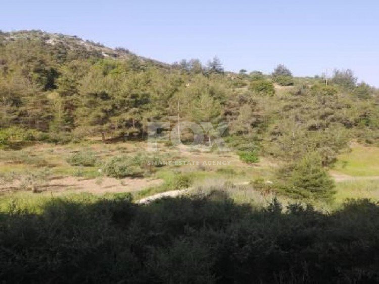 Plot For Sale In Pano Panagia Paphos Cyprus