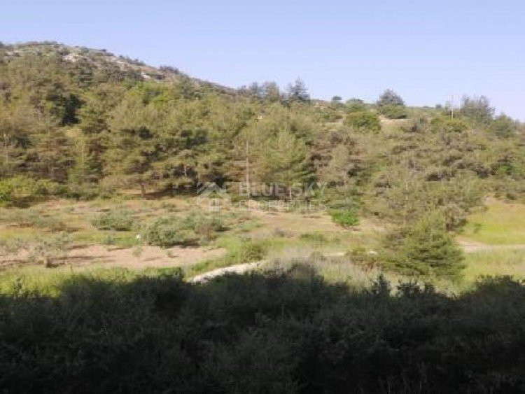 Plot For Sale In Pano Panagia Paphos Cyprus