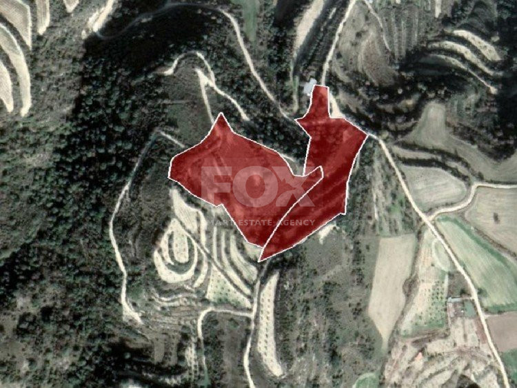 Land For Sale In Theletra Paphos Cyprus