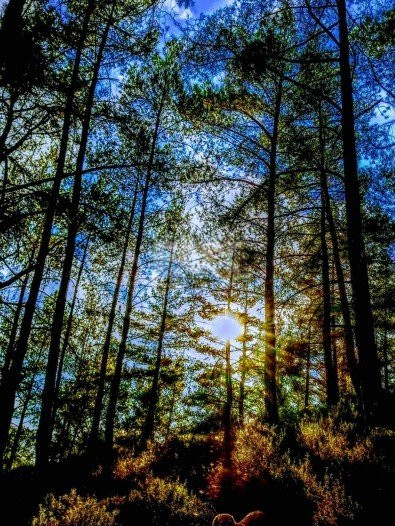 Two Bedroom House For Sale In Palaiomylos Limassol