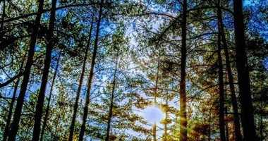 Two Bedroom House For Sale In Palaiomylos Limassol