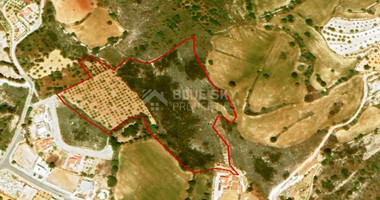 Land For Sale In Armou Paphos Cyprus