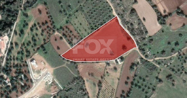 Plot For Sale In Tremithousa Paphos Cyprus
