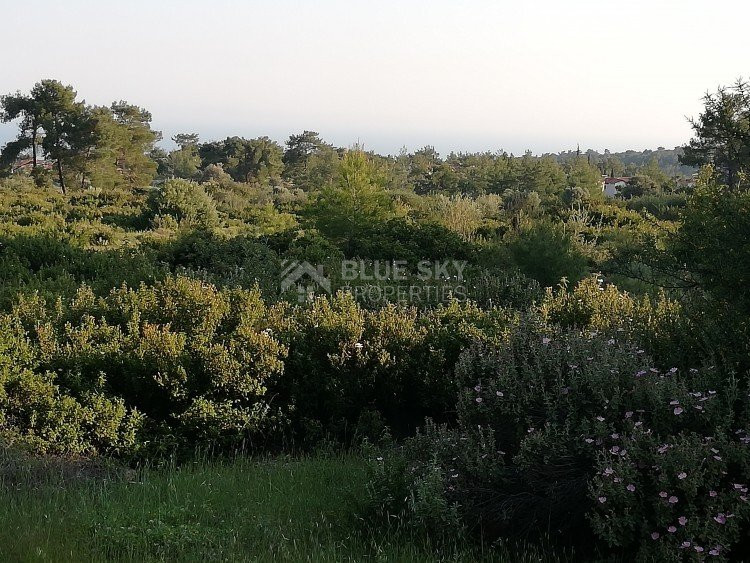 Land For Sale In Parekklisia Limassol Cyprus