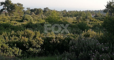 Land For Sale In Parekklisia Limassol Cyprus