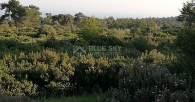 Land For Sale In Parekklisia Limassol Cyprus