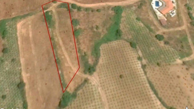 Land In Kathikas Paphos Cyprus