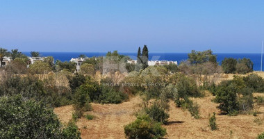 3 Bed House For Sale In Latchi Paphos Cyprus