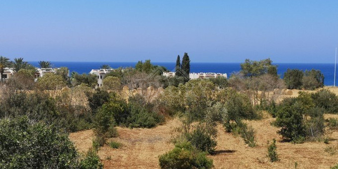 3 Bed House For Sale In Latchi Paphos Cyprus