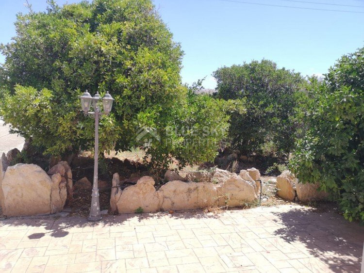 3 Bed House For Sale In Latchi Paphos Cyprus