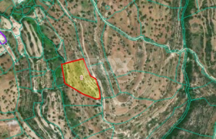 Land For Sale In Prastio Avdimou Limassol Cyprus