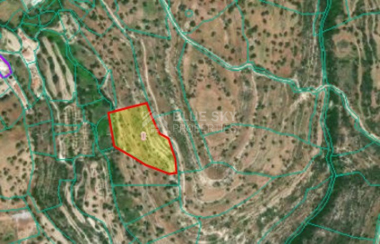 Land For Sale In Prastio Avdimou Limassol Cyprus