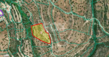 Land For Sale In Prastio Avdimou Limassol Cyprus