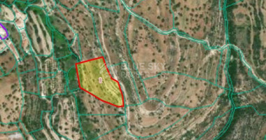 Land For Sale In Prastio Avdimou Limassol Cyprus