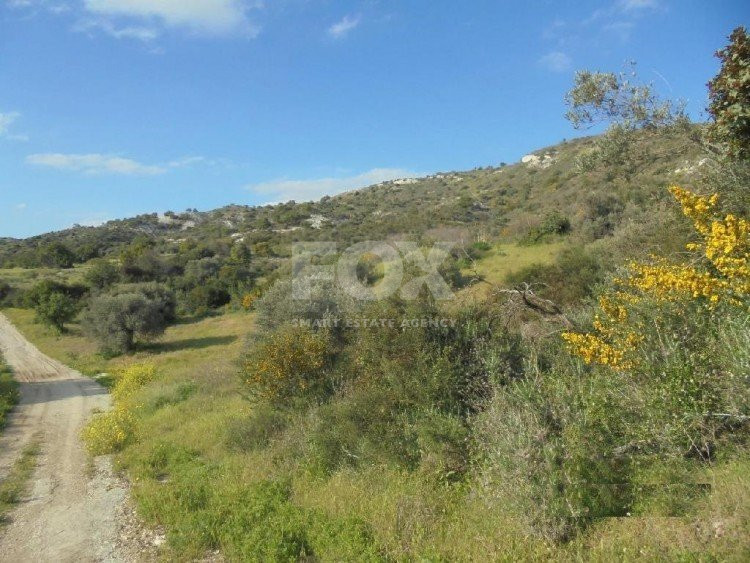 Land For Sale In Asgata Limassol Cyprus