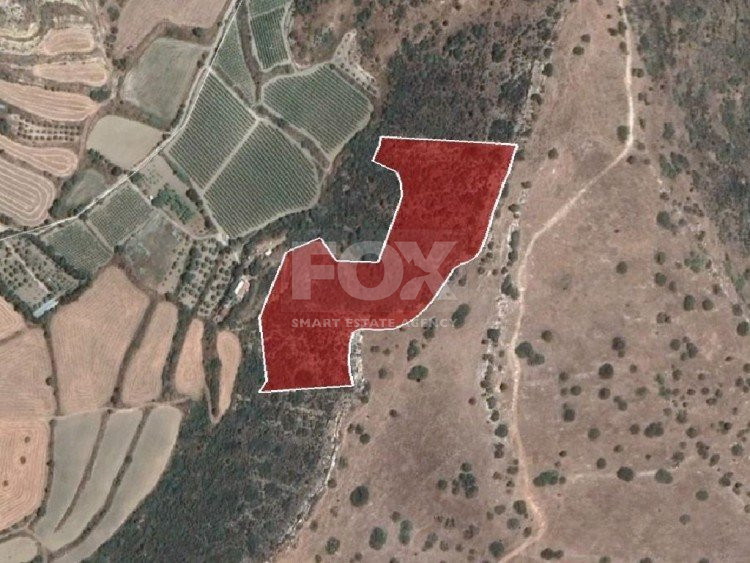 Land For Sale In Pissouri Limassol Cyprus