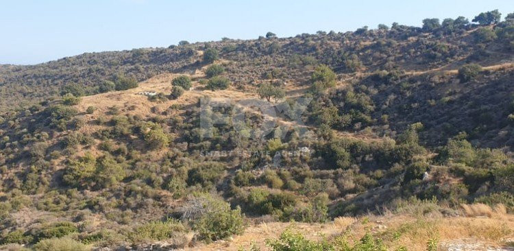 Land For Sale In Pissouri Limassol Cyprus