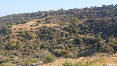 Land For Sale In Pissouri Limassol Cyprus